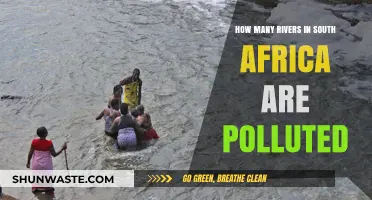 South Africa's Polluted Rivers: A Troubling Reality