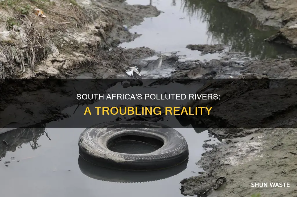 how many rivers in south africa are polluted