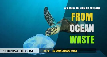 Ocean Waste Crisis: Rising Sea Animal Deaths Demand Urgent Action