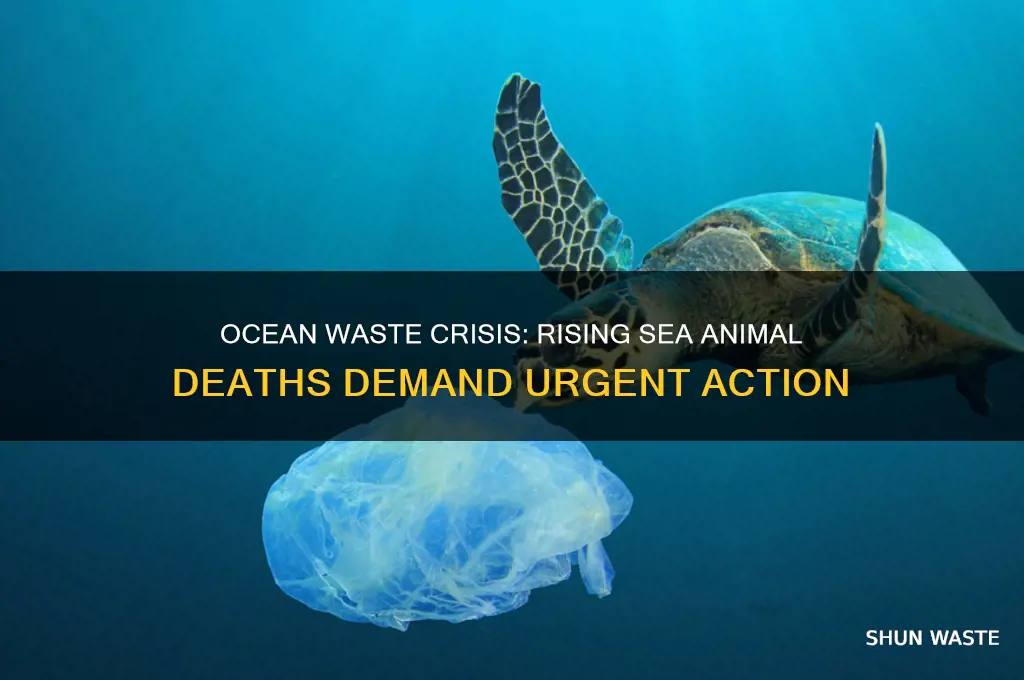 how many sea animals are dying from ocean waste