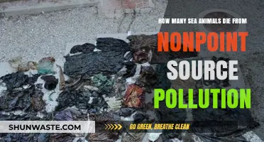 Deadly Pollution: Sea Animals' Unseen Suffering