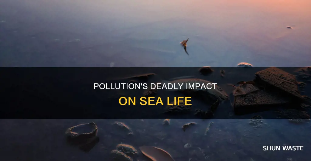 how many sea animlas die to pollution