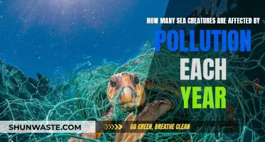 Sea Creatures: Pollution's Annual Victims and Their Plight