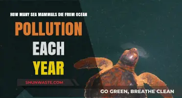 The Devastating Impact of Ocean Pollution on Sea Mammals