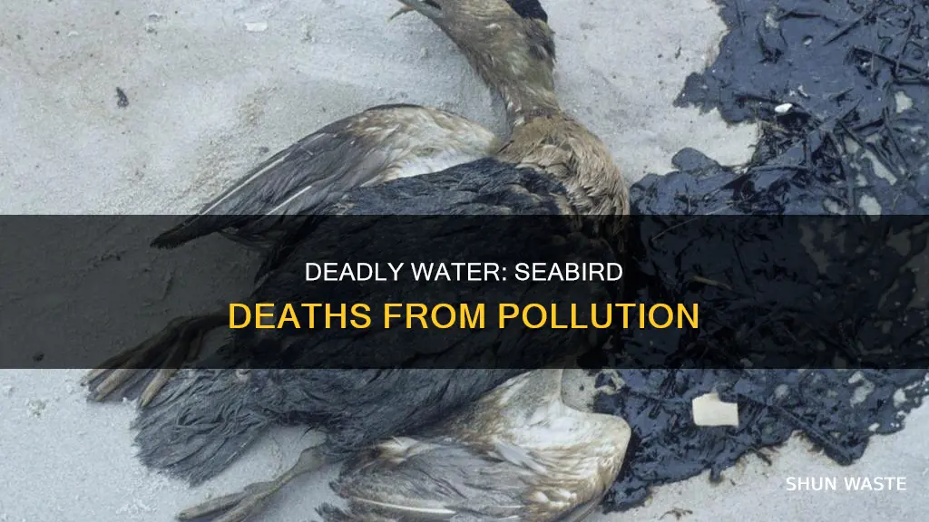 how many seabirds die each year from water pollution