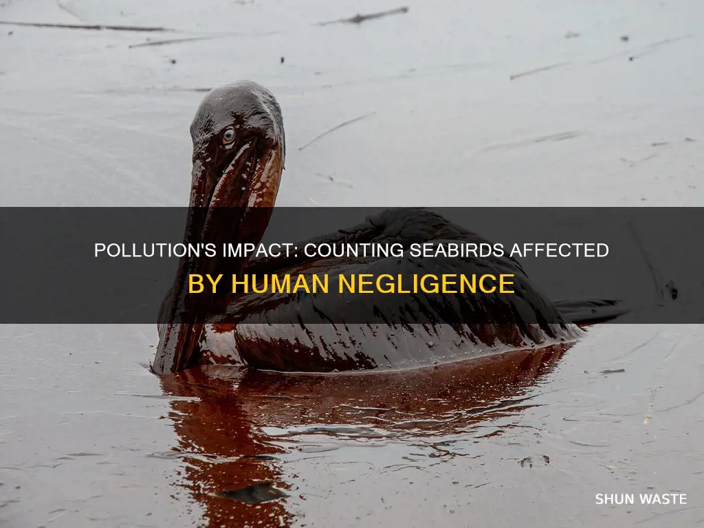 how many seabirds get affected by pollution