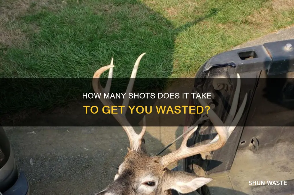 how many shots to get you wasted