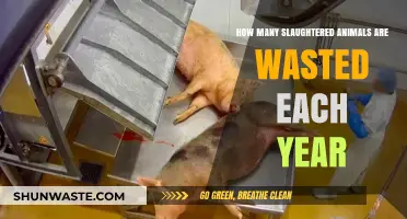 The Shocking Scale of Annual Animal Slaughter Waste