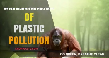 Plastic Pollution's Extinction Crisis: Counting the Lost Species