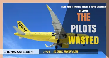 Pilot Error and Spirits Flights: Investigating Crash Incidents and Causes