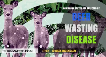 Deer Wasting Disease: How Many States Are Currently Impacted?