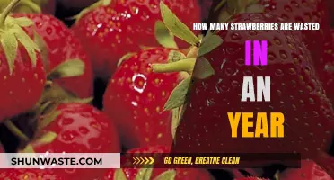 Strawberry Waste Crisis: Annual Loss and Its Environmental Impact