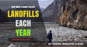 The Impact: Straws in Landfills