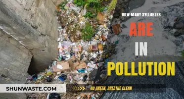 The Syllable Count of the Word "Pollution" and Why It Matters