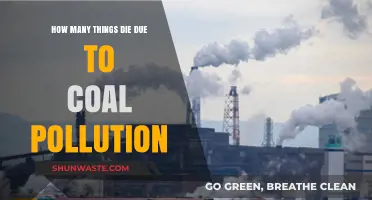 Fatal Fallout: Coal's Devastating Death Toll
