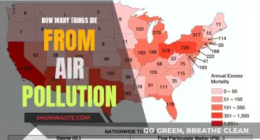 Air Pollution's Deadly Impact: Counting the Casualties