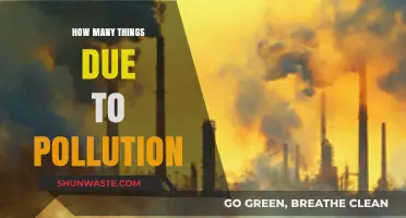Pollution's Devastating Impact: Counting the Casualties