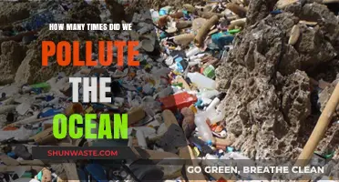 The Ocean's Pollution: A Countless Tragedy