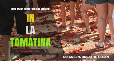 Tomatina's Tomato Toll: Uncovering the Shocking Waste at La Tomatina