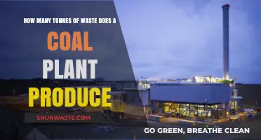 Coal Plant Waste: Uncovering the Tonnes of Environmental Impact