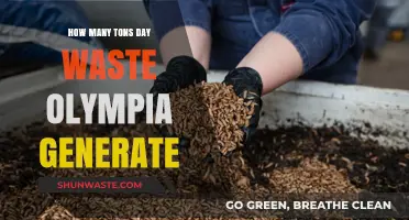 Daily Waste Generation in Olympia: Tons of Trash Uncovered