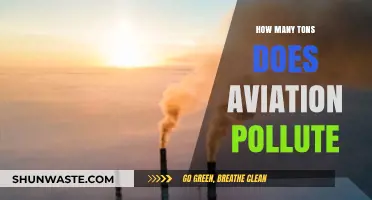 Aviation's Pollution Problem: Tons of Toxic Emissions
