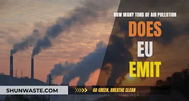 Air Pollution Crisis in EU: Tons of Emissions Revealed