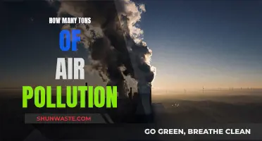Air Pollution's Heavy Burden: Tons of Toxic Emissions