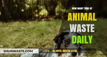 Daily Animal Waste: Tons of Impact on Environment and Solutions