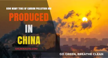 Carbon Emissions Crisis in China: Tons Produced