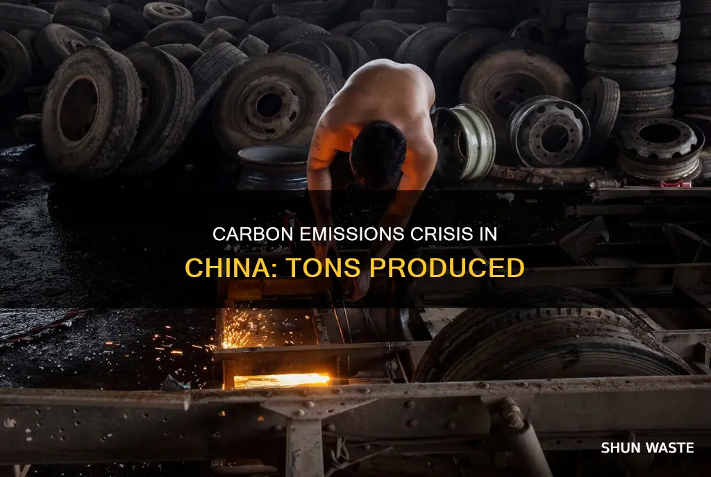 how many tons of carbon pollution are produced in china