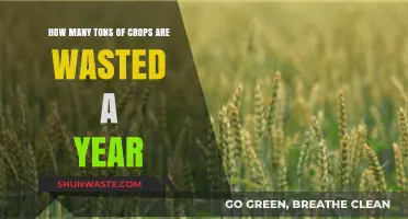 Global Crop Waste Crisis: Tons Lost Annually, Solutions Needed Urgently