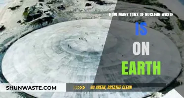 Earth's Nuclear Waste Burden: Tons of Toxic Legacy Accumulated