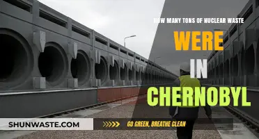 Chernobyl's Nuclear Legacy: Uncovering the Tons of Waste Left Behind