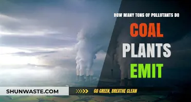 Coal Plants: Toxic Emissions and Environmental Impact