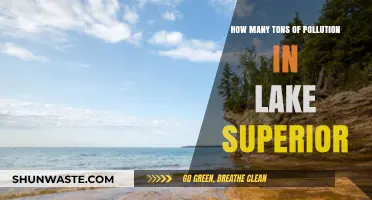 Superior Lake's Pollution Crisis: Tons of Contamination