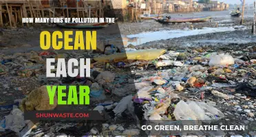 Ocean Pollution: Tons of Devastation Yearly