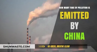 China's Pollution Emissions: A Critical Analysis