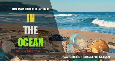 Ocean Pollution: Tons of Devastation
