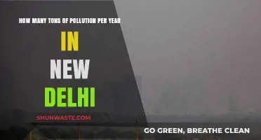 Delhi's Annual Pollution Crisis: Tons of Toxicity