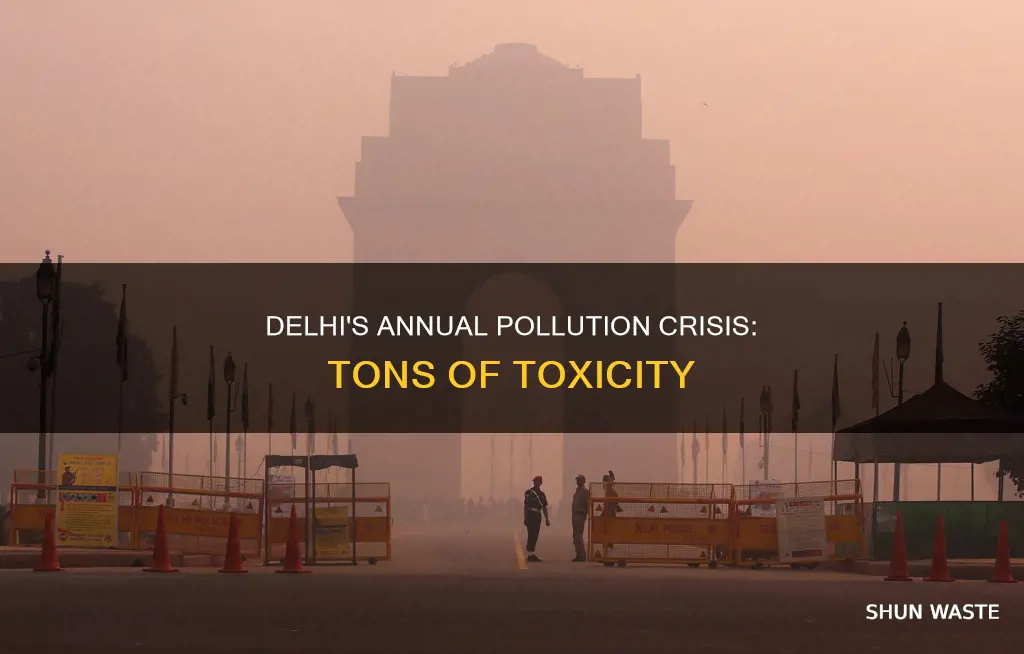 how many tons of pollution per year in new delhi
