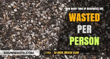 Wasted Potential: Uncovering the Shocking Resource Waste Per Person