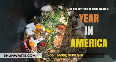 America's Annual Solid Waste: Tons of Trash Unveiled