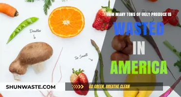Wasted Potential: America’s Ugly Produce Crisis in Tons