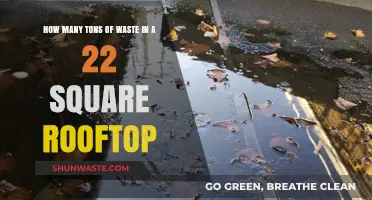 Estimating Waste Accumulation on a 22 Square Rooftop: Tons Revealed