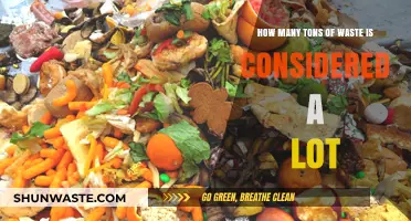 Understanding Massive Waste Quantities: What Constitutes 'A Lot' of Tons?