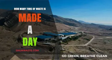 Daily Waste Crisis: Tons of Trash Produced Every 24 Hours