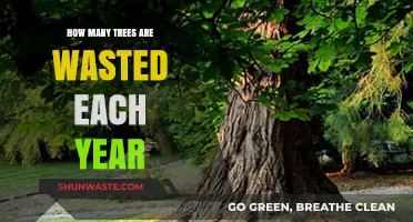 The Annual Toll: Trees Lost to Waste and How to Stop It