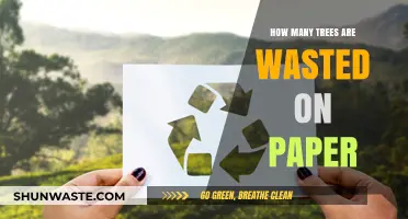 The Environmental Cost of Paper: How Many Trees Are Wasted?