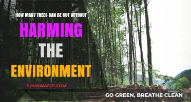 Sustainable Logging: Balancing Tree Harvesting and Environmental Preservation